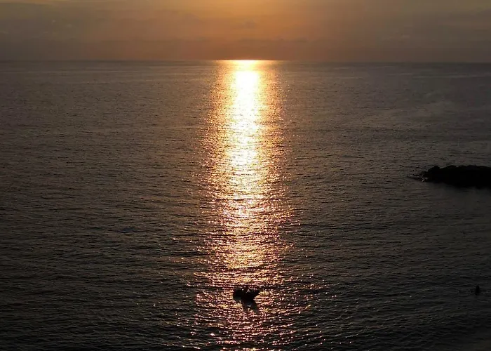 海洋皇宫酒店 酒店 4*