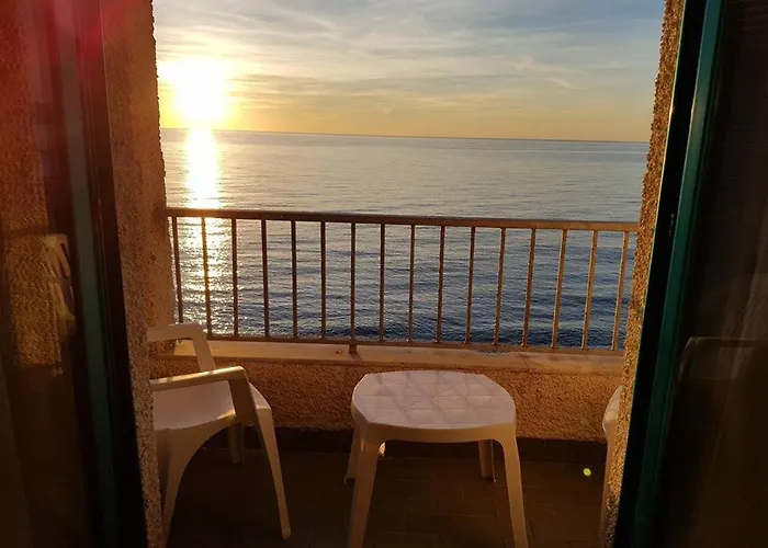 酒店 海洋皇宫酒店